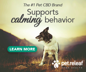 Supports Calming Behavior