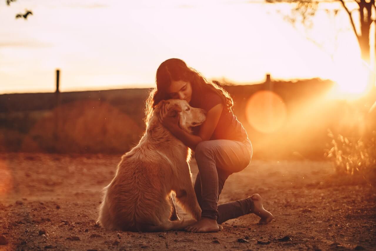 Unleashing the Power of Emotional Support Animals